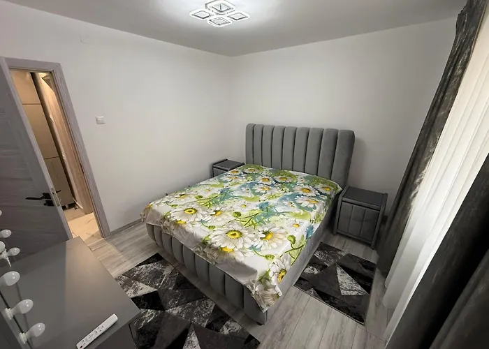 Casa Dulcu * 克拉奥华